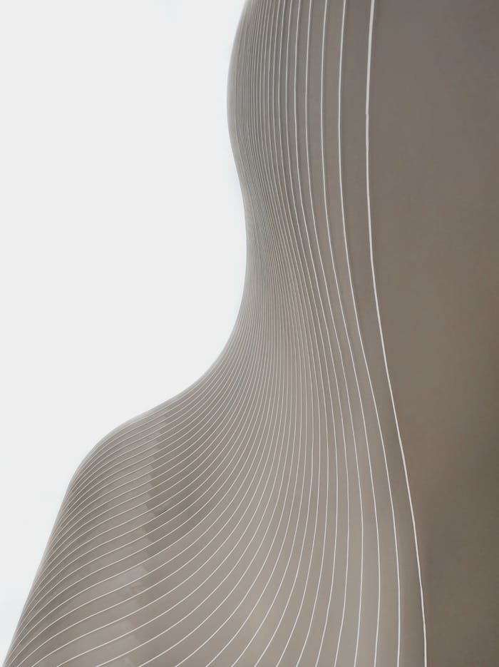 Modern abstract design with smooth curved architectural lines creating a visually striking pattern.